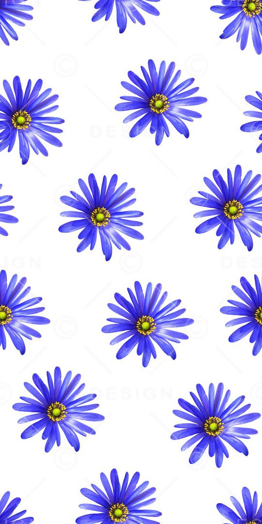 真花印花华亿平台图片