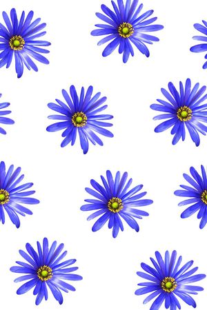 真花印花华亿平台图片