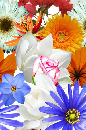 真花印花华亿平台图片