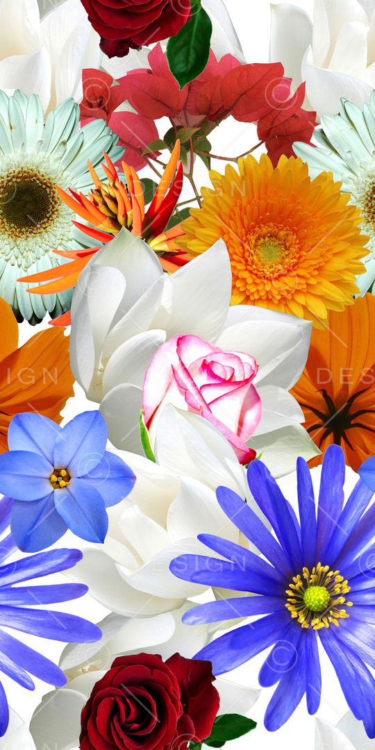 真花印花华亿平台图片