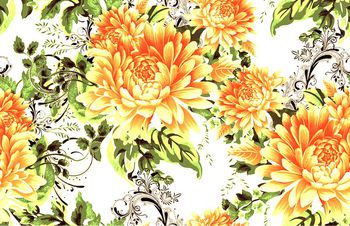 573495-富贵牡丹花 传统中国花卉 