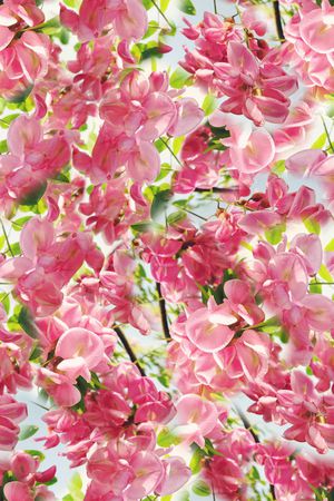 春夏华亿平台印花华亿平台图片