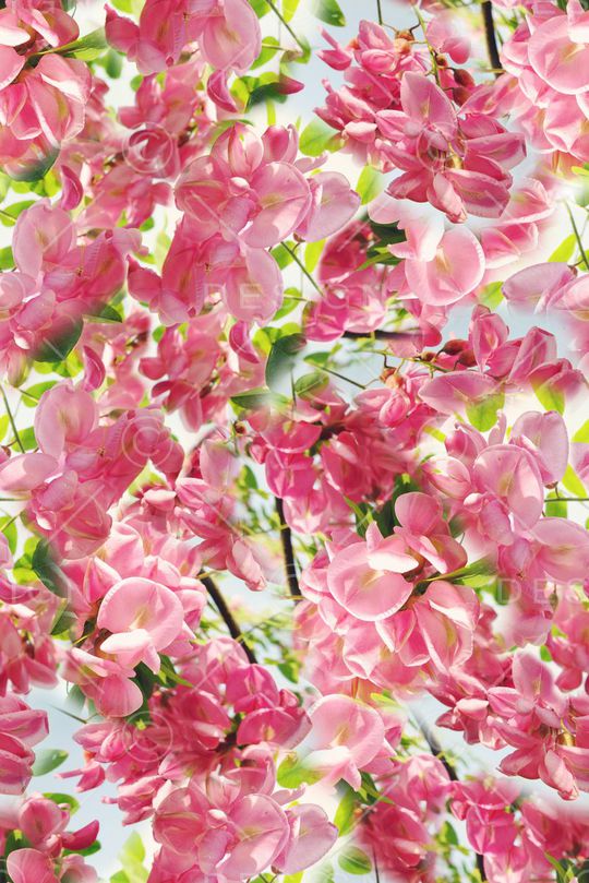 春夏华亿平台印花华亿平台图片