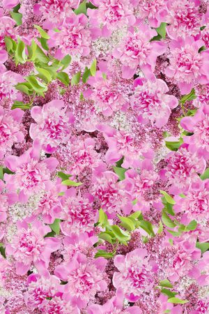 春夏华亿平台印花华亿平台图片