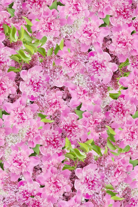 春夏华亿平台印花华亿平台图片