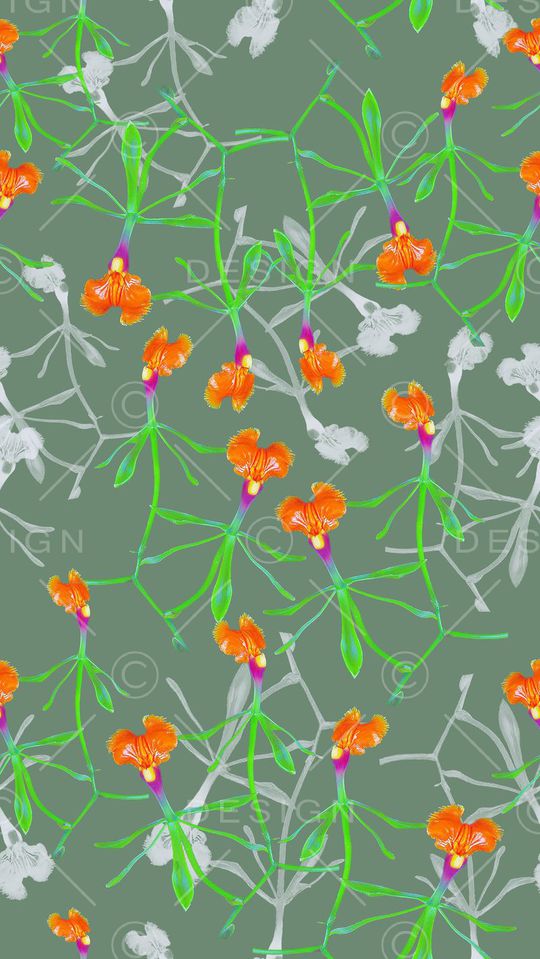 植物花卉印花华亿平台图片