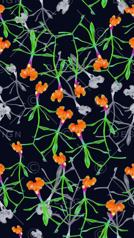 植物花卉印花华亿平台图片