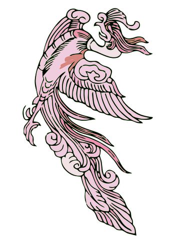 流行印花华亿平台图片