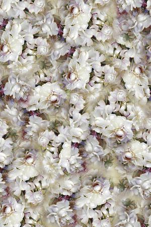 中国风印花华亿平台图片