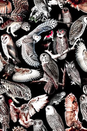 时尚印花华亿平台图片