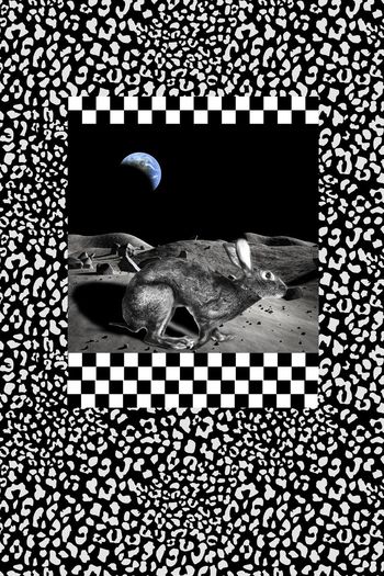 573874-月亮月宫玉兔宇宙星球岩石豹纹几何