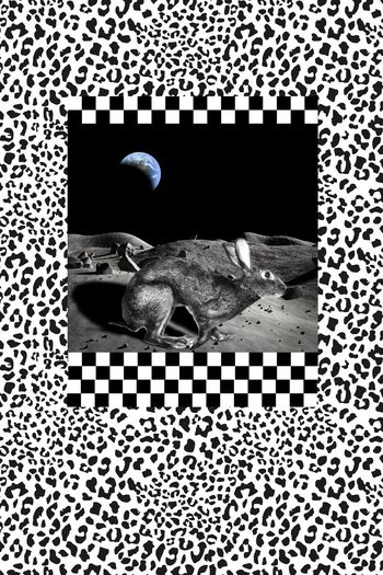 573875-月亮月宫玉兔宇宙星球岩石豹纹几何