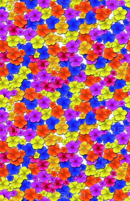 欧美印花华亿平台图片