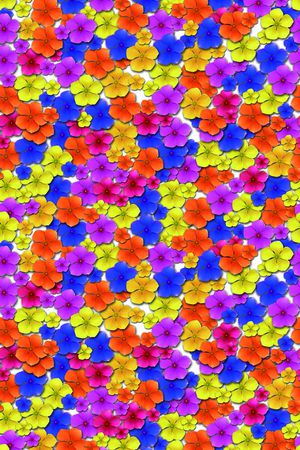 欧美印花华亿平台图片