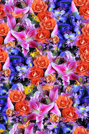 春夏华亿平台印花华亿平台图片