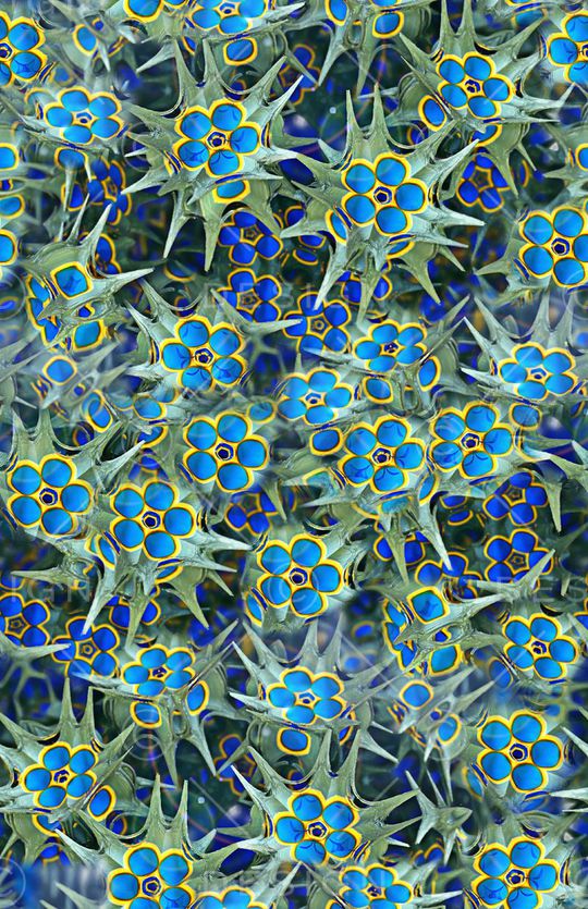 写实风格印花华亿平台图片