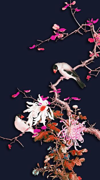 574133-时尚 中国风 花鸟 工笔画 数码 