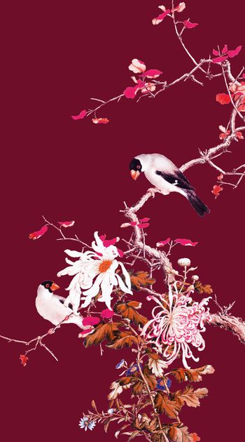 574134-时尚 中国风 花鸟 工笔画 数码 