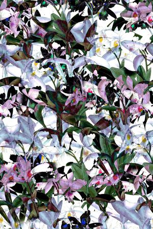 春夏印花华亿平台图片