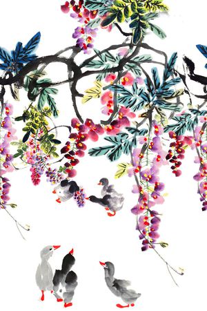 手绘 大牌 定位 水彩 水墨 中国风 花卉 鸭子 家禽 鸟印花华亿平台图片