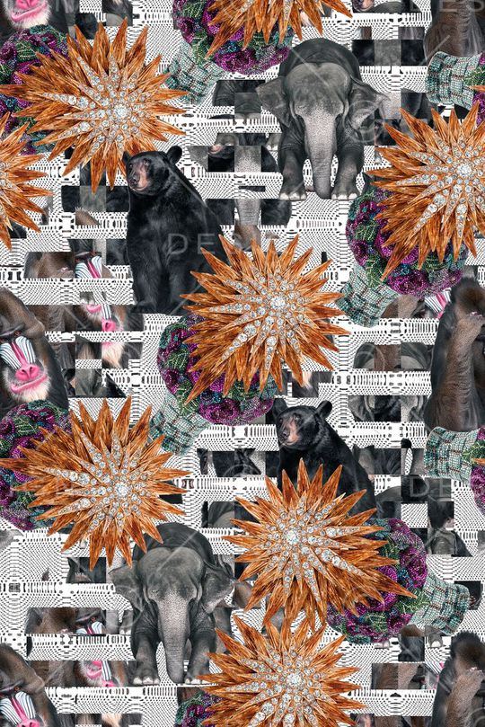 动物印花华亿平台图片