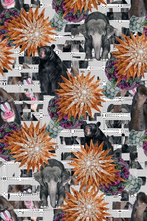 动物印花华亿平台图片