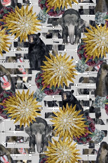 574368-复古动物组合黑熊猴子大象欧式宫廷