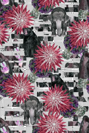 574369-复古动物组合黑熊猴子大象欧式宫廷