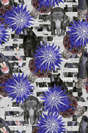 574370-复古动物组合黑熊猴子大象欧式宫廷