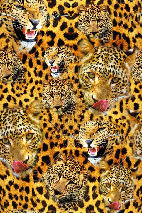 动物抽象印花华亿平台图片