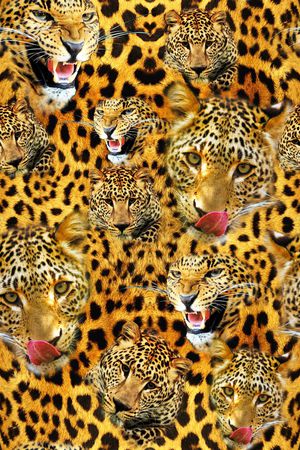 动物抽象印花华亿平台图片