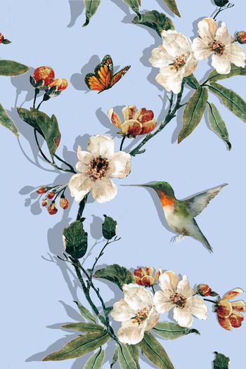574727-复古花卉小鸟蝴蝶植物组合