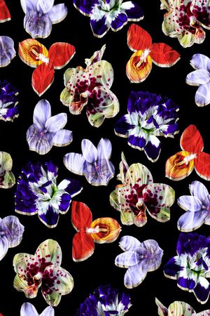 纯色底印花华亿平台图片