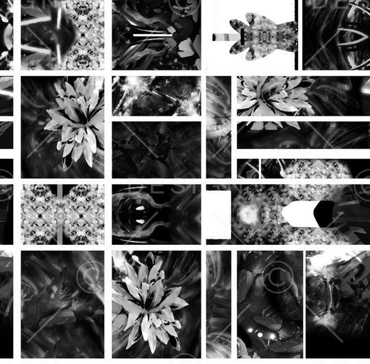 2016时尚大牌印花华亿平台图片