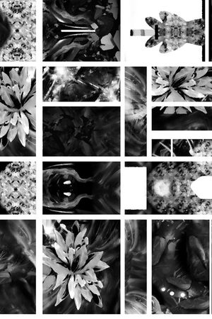 2016时尚大牌印花华亿平台图片