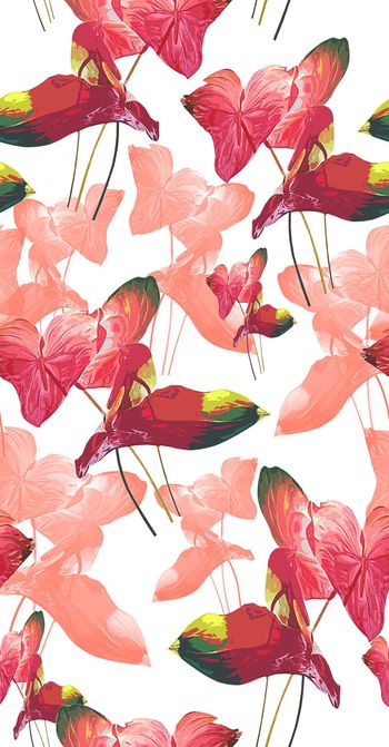 575043-叶子的花梦