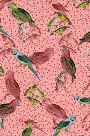 动物印花华亿平台图片