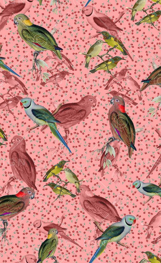 动物印花华亿平台图片