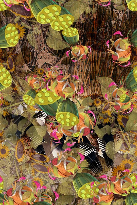 植物印花华亿平台图片