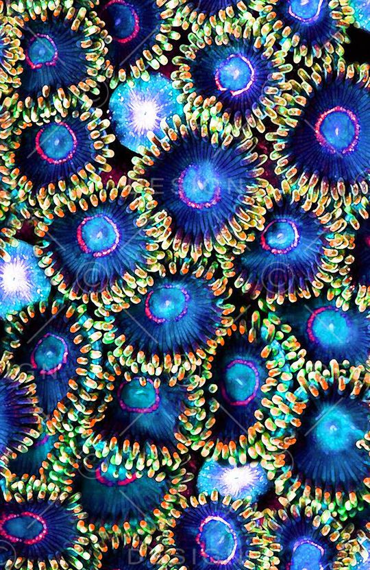 自然印花华亿平台图片