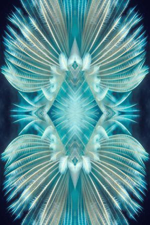 自然印花华亿平台图片