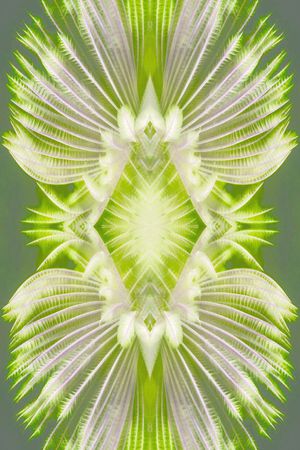 自然印花华亿平台图片