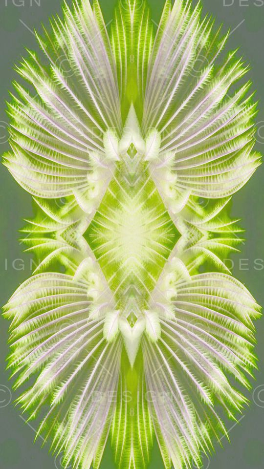 自然印花华亿平台图片