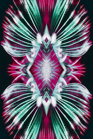 自然印花华亿平台图片