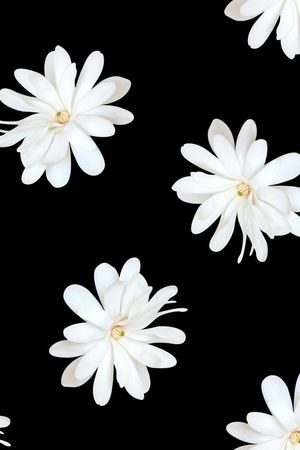 数码印花印花华亿平台图片