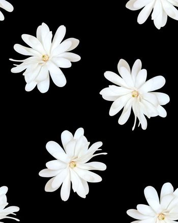 575228-大牌满版大花设计