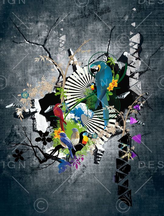 时尚地狱裂缝鹦鹉胸画印花华亿平台图片