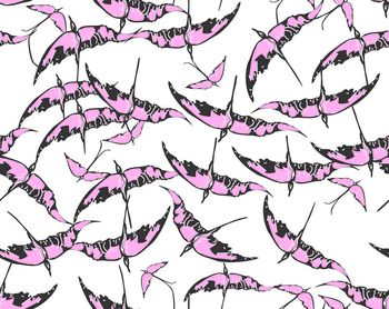 575387-华伦天奴  手绘鸟  鸟