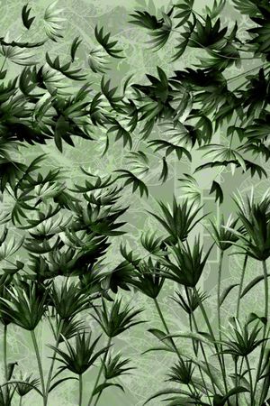 零点--泳装印花华亿平台图片