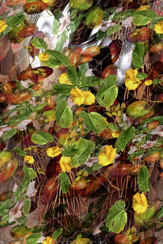 田园风印花华亿平台图片